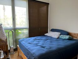The Jovell (D17), Condominium #513491471